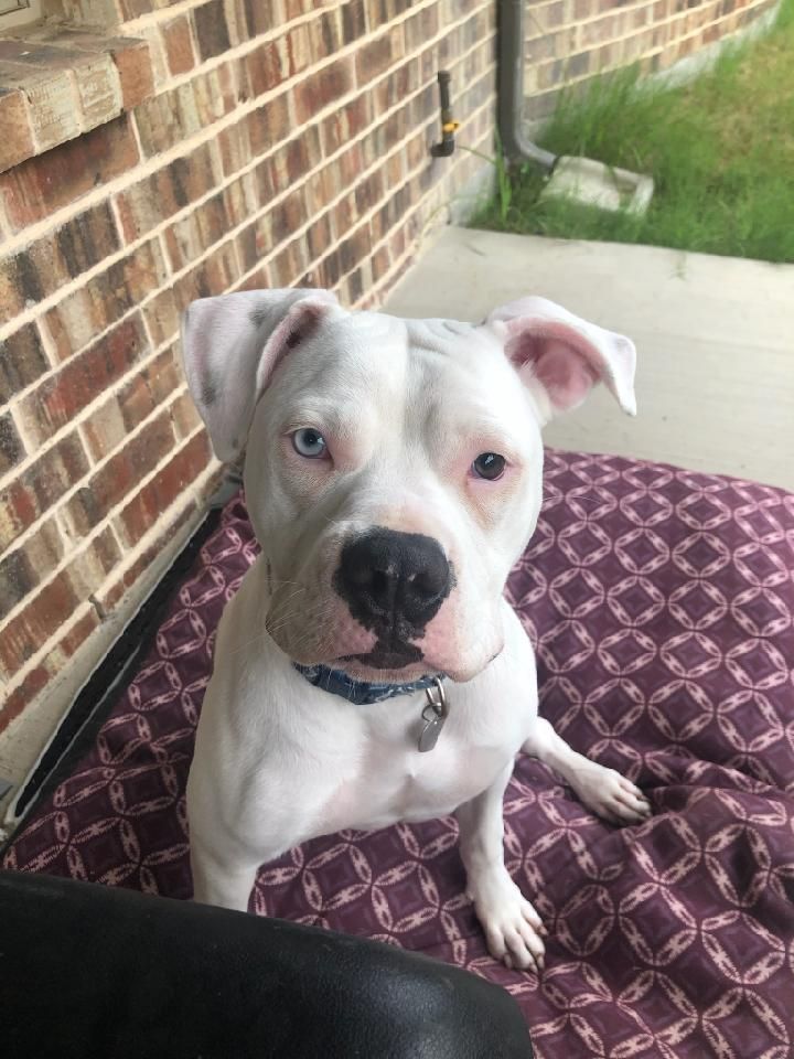 Baby Girl