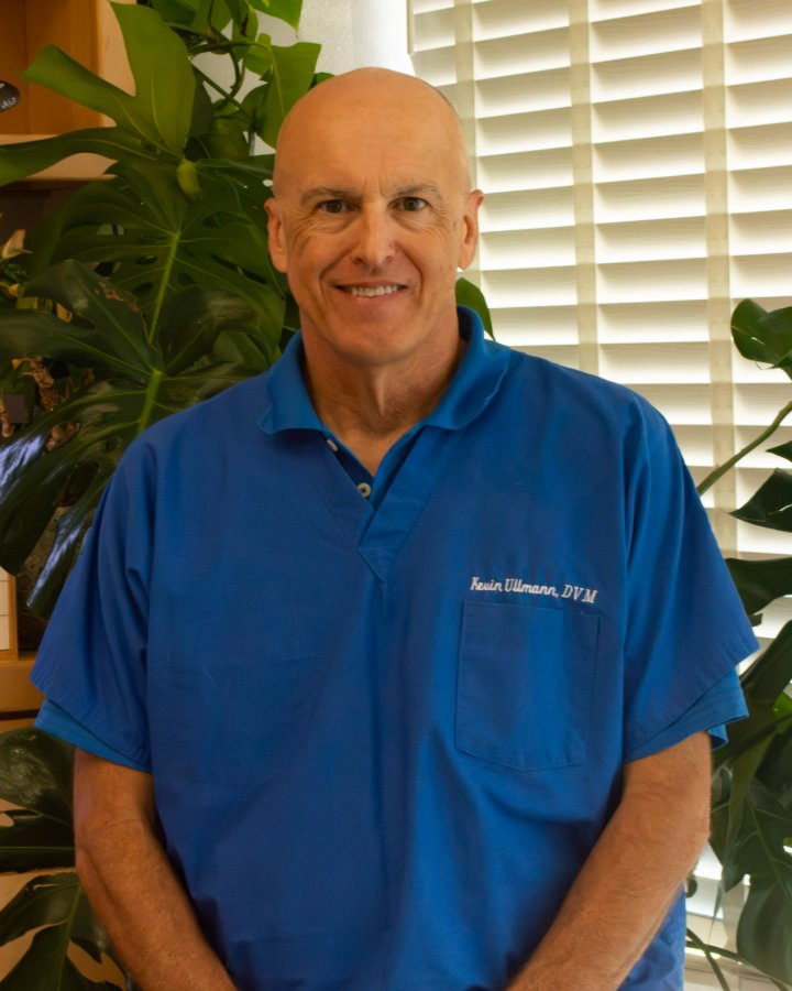 Dr. Kevin Ullmann