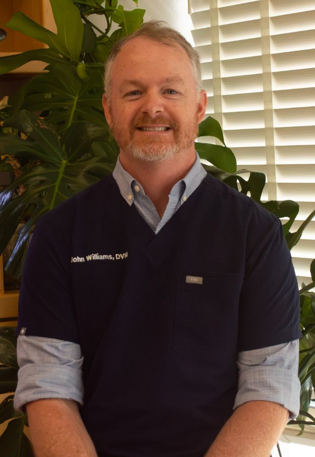 Dr. John Williams