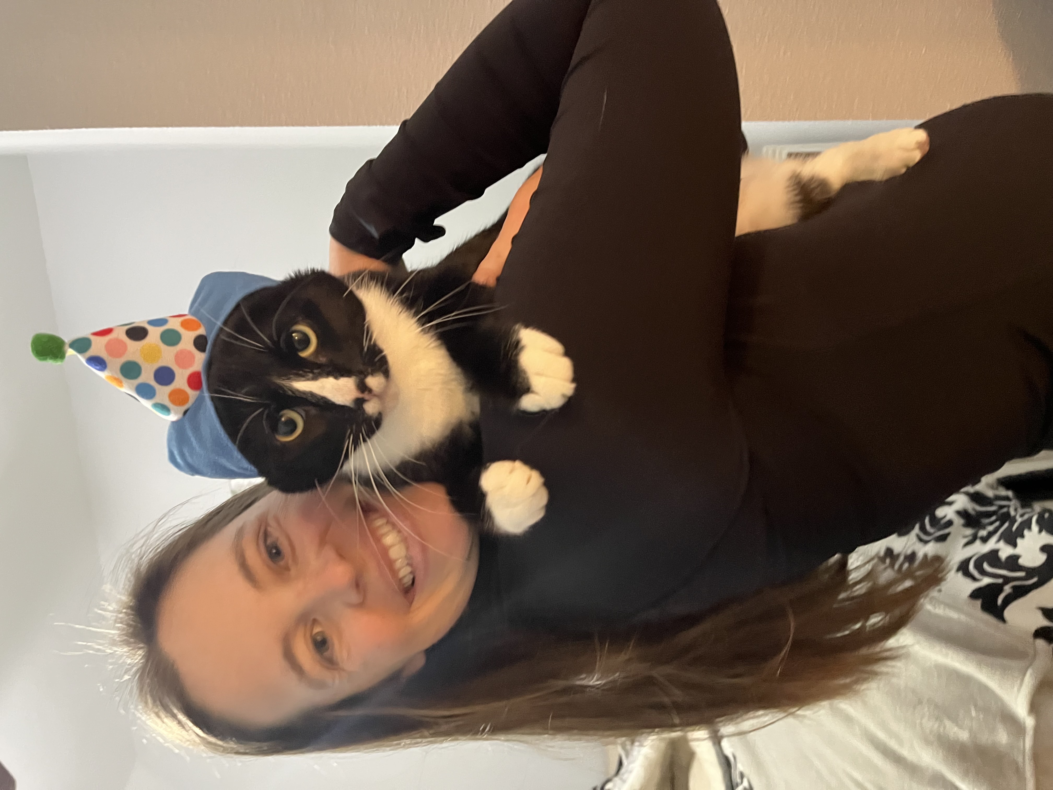 Birthday cat in a party hat