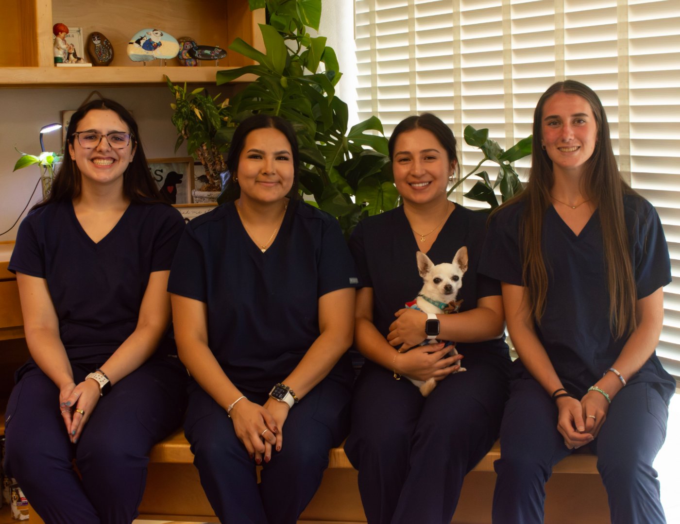 The crew with the clinic chihuahua