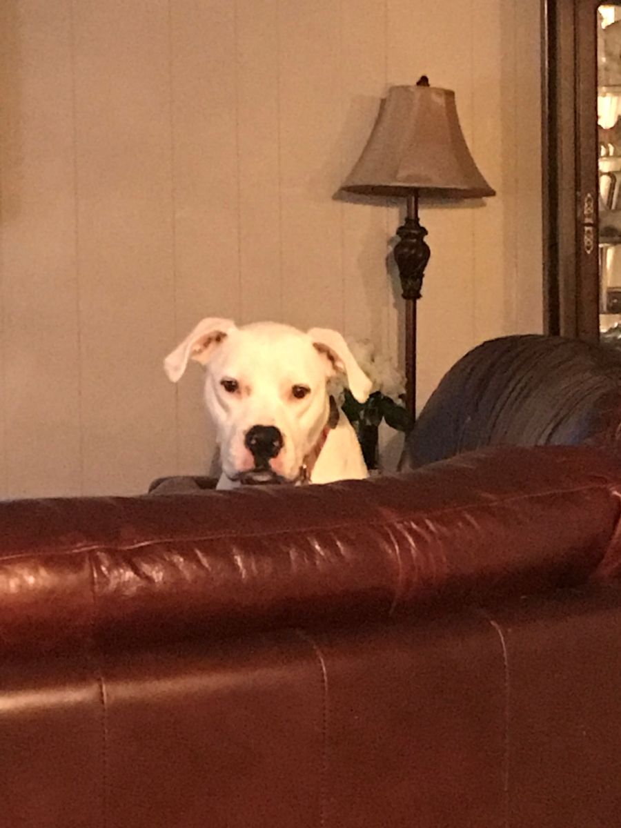 Matilda